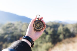 How I Became an Email Developer
